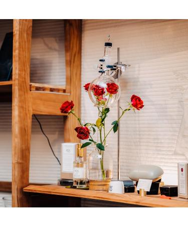 Caswell-Massey R S Eau de Parfum Floral Spicy Amber Cologne for Men Infused With Essential Oils Made in USA 3.0 Fluid Ounces ROS 3 Fl Oz - Buy Online on GoSupps.com