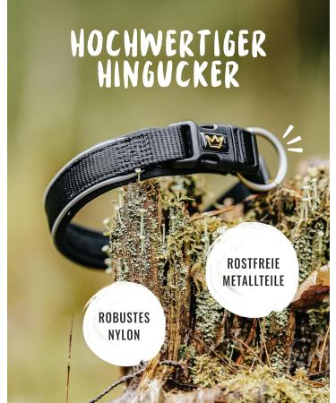 Rudelknig Paola Adjustable Reflective Dog Collar for Small Dogs - Black Nylon Size 1 (25-30cm) - Buy Online on GoSupps.com