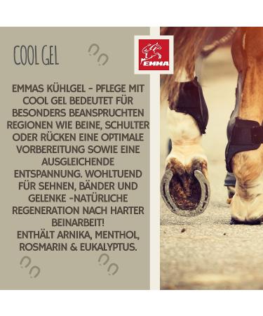 Refreshing Horse Balm 2*500ml Arnica Gel Extra Strength Gel I Horse Balm Tendons Ligaments & Muscles I Ointment for Horses with Arnica Cream Muscle Massage Gel for Horse Dog - Buy Online on GoSupps.com