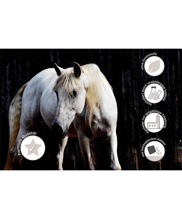 Buy Sowi-Natur Hemp PUR Horse 500g - Support Immune System Joints & Digestion - Premium Hemp Herbs for Horses - Buy Online on GoSupps.com