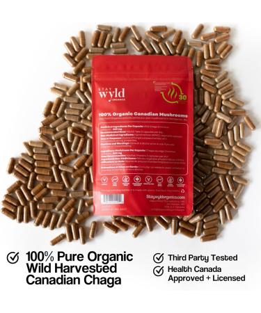 Stay Wyld Organics - Chaga Mushroom Supplement - 100% Canadian Mushroom Organic Chaga Capsules Supplements for Natural Cholesterol Level and Immune Support Non-GMO 90 Capsules Pouch - Buy Online on GoSupps.com