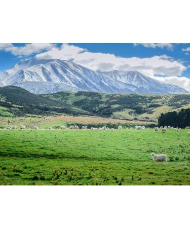 Antler Farms 100% Pure New Zealand Lanolin - 100g Skin Moisturizer & Protectant Refined USP Grade Balm for Ultimate Hydration - Buy Online on GoSupps.com