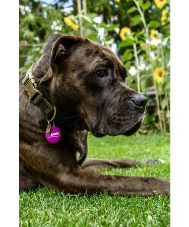 Unique Branding Dog & Cat Recognition Tags | Personalized Double-Sided Engraved Pet ID | 35mm Purple Round | Ideal for Pets & Owners - Buy Online on GoSupps.com