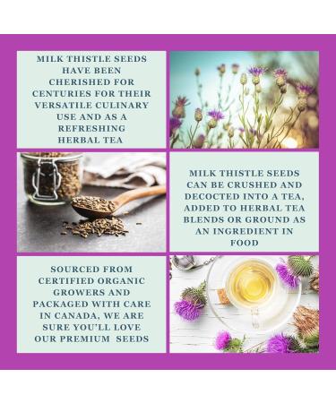 Organic Milk Thistle Seeds 500g Whole Seeds Premium Silybum Marianum (Blessed Thistle) Silymarin Seeds Herbal Tea & Culinary Use Loose Thistle Seeds | DRAGONFLY HERBS - Buy Online on GoSupps.com