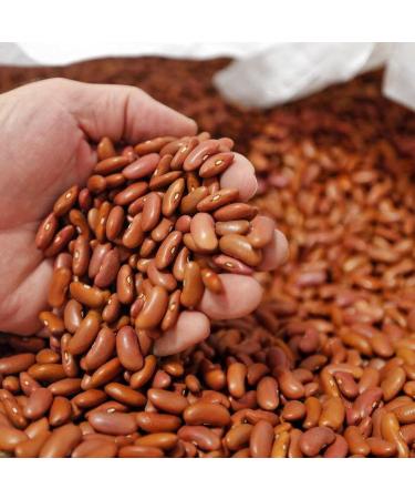 Camil Brazilian Pinto Beans 1Kg | Premium Selection | Frijol Haricots Feijao Carioca | GMO Free | Naturally Gluten Free | Vegan | High Fibre & Protein - Buy Online on GoSupps.com