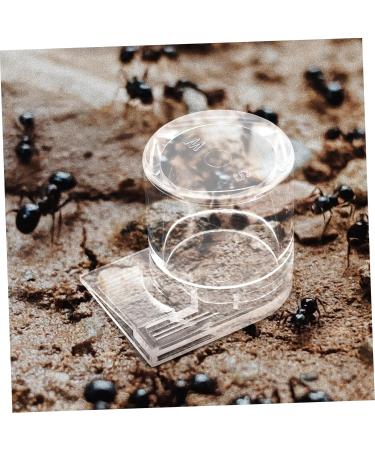 GREENADSCAPE Pet Water Feeder Ant Feeder Ant Feed Bowl Ant Keeper Tools Ant Bowl Ant Feeding Cup Plastic - Buy Online on GoSupps.com