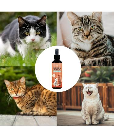  Stronrive Dog detangler - Cat detangling spray 100ml essential oil-infused detangling spray for cats with vitamin E supplies - Buy Online on GoSupps.com
