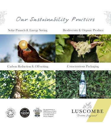 Luscombe Sicilian Citrus Crush (12x27cl) - Organic Sicilian Orange & Lemon Juice Vegan & Gluten Free - Devon Spring Water - Buy Online on GoSupps.com