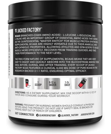 Jacked Factory Nitrosurge Shred Thermogenic Pre-Workout in Blueberry Lemonade & BCAA in Fruit Punch for Body Recomposition Muscle Building and Recovery - Buy Online on GoSupps.com