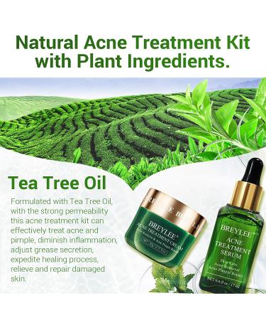 BREYLEE Tea Tree Oil 2 in 1 Acne Solution Kit for Clearing Severe Acne and Repairing Skin - Buy Online on GoSupps.com