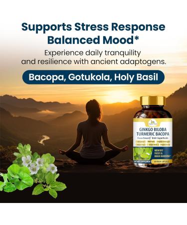 FocusBotaniQ Ginkgo Biloba Turmeric Bacopa Brain Supplement - Memory Mood & Focus Support - 10 in 1 Superfood Herbal Cognitive Complex for Concentration Energy & Brain Booster - 60 Vegan Capsule - Buy Online on GoSupps.com