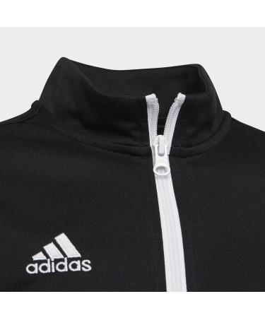 Adidas Unisex Kids Entrada 22 Sweatshirt - Comfortable & Stylish 164 Royblu | Shop Internationally at Your Store Name  - Buy Online on GoSupps.com