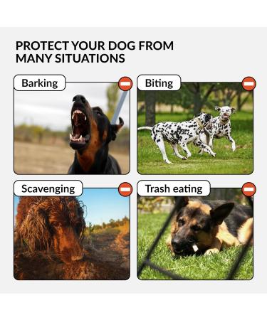 Collardirect Leather Basket Muzzle for Large Breeds - German Shepherd Dalmatian Doberman Setter - Medium Size (1 Piece) - Chestnut Brown - Buy Online on GoSupps.com