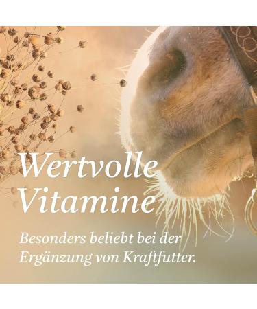 Martenbrown Cold-Pressed Flaxseed Oil 1 Litre for Horses and Dogs | First Pressed | 100% Pure Dosing Bottle No Additives | Food Supplement for Dry Food Canned Food - Buy Online on GoSupps.com