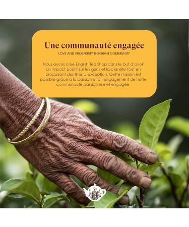 English Tea Shop - Coffret th de No l bio - S lection d'hiver rouge - 4 th s de No l - Bo te de 12 sachets - Coffret cadeau th offrir - Cadeau de No l petit prix - Buy Online on GoSupps.com