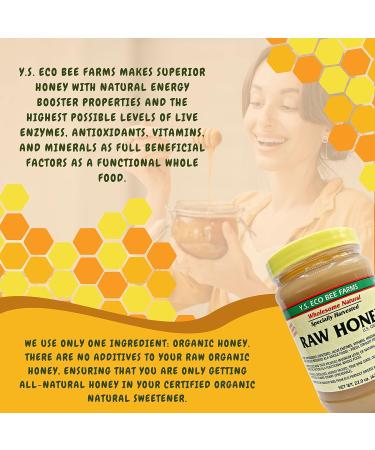 Y.S. Eco Bee Farms Y.S. Organic Bee Farms Wholesome Natural Raw Honey Unpasteurized Unfiltered Fresh Raw State Kosher Pure Natural Healthy Safe Gluten Free Specially Harvested 22oz - 2pk - Buy Online on GoSupps.com