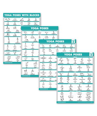 Palace Learning 4 Pack - Yoga Poses Poster Volume 1 2 & 3 + Yoga Positions with Yoga Blocks - Beginner Yoga Position Exercise Charts - English and Sanskrit Names 18 x 24 LAMINATED