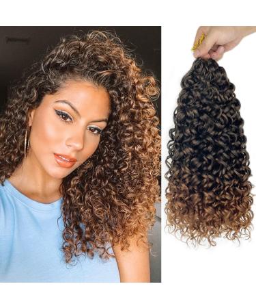 Gogo Curl 14 Inch 8 Packs Curly Crochet Hair for Black Women Ombre Dark Brown Color Wavy Beach Curls Crochet Hair Water Wave Go Go Crotchet Hair Synthetic Curly Braiding Hair Extensions(14inch 8pack 1b/30) 14 Inch (Pack...