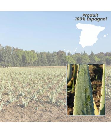 NATURAE Organic Aloe Vera Juice with Mango - 1 unit of 1000 ml (1)- Aloe Vera drink with pieces - Buy Online on GoSupps.com