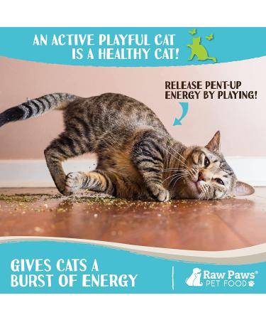 Raw Paws Pet Natural Catnip 1-oz - Premium Loose Catnip Leaf for Cats - Potent Refill for Toys - Cat Catnip Herb Dried - Buy Online on GoSupps.com