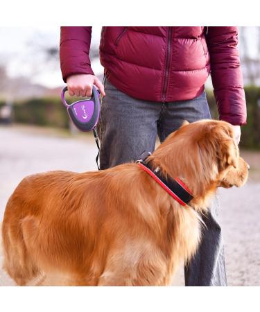 Ferplast Flippy Tech Dog Leash - Extendable 5m Roller Leash for Large Dogs up to 50kg - Purple - Buy Online on GoSupps.com