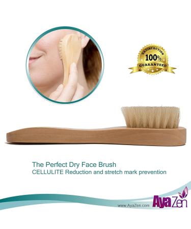 Exfoliating Dry Brush Set for Body & Face with Handle, Mesh Pouf, and Pumice Stone - Gift for Men & Women (4 Pack) - Buy Online on GoSupps.com