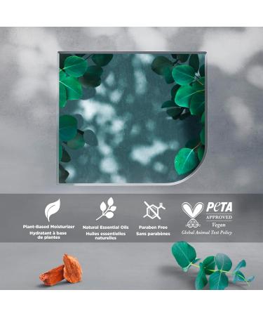 Dove Men+Care Deodorant Stick for 72h odour protection Eucalyptus + Birch with 0% Aluminium 74g x 4 pack Eucalyptus 74 g (Pack of 4) - Buy Online on GoSupps.com