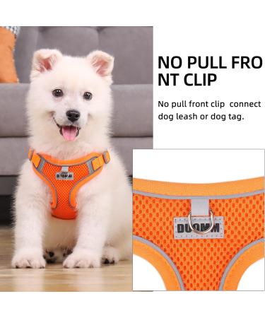 Rennaio Adjustable No-Pull Dog Harness & Leash Set - Ultra Breathable Padded Harness for Small & Medium Dogs (Pumpkin XL) - Perfect Puppy Dishes with Linen Clips - Buy Online on GoSupps.com