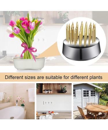 12-Piece Flower Frog Holder Set for Floral Arrangement and Plant Decoration - Buy Online on GoSupps.com