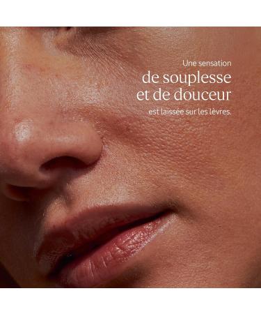 L'OCCITANE - Baume L vres - Fabriqu en France Stick Karit  - Buy Online on GoSupps.com