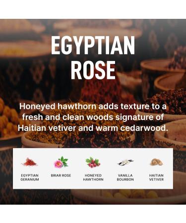 Buy Laundry Sauce Egyptian Rose Dryer Sheets – Eco-Friendly Fabric Softener for Fresh Laundry | Free International Shipping - Buy Online on GoSupps.com