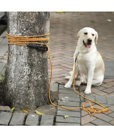 Dog Training Lead Long 15m / 50FT Dog Line Extra Long Heave Duty Reflective Dog Leash for Small Medium Large Dogs Tracking Recall Training Outdoor L: 15m / 50ft Orange - Buy Online on GoSupps.com