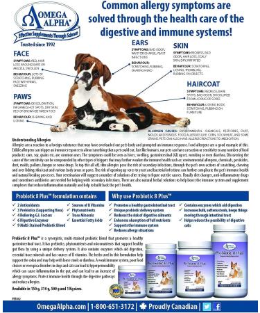 Omega Alpha Probiotic 8 Plus Ensures Peak Digestive Performance 310 g - Buy Online on GoSupps.com