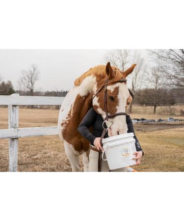 Smart Earth Camelina Oil for Horses - Natural Nutritional Supplement for Coat Hooves and Joints - Horse Oil - Omega 3 6 & 9 - Equine Care - Camelina Oil for Joint Health (13.25L) - Buy Online on GoSupps.com