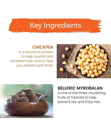 Himalaya Damage Repair Protein Shampoo 13.53 fl oz - Strengthens & Restores Hair - Buy Online on GoSupps.com