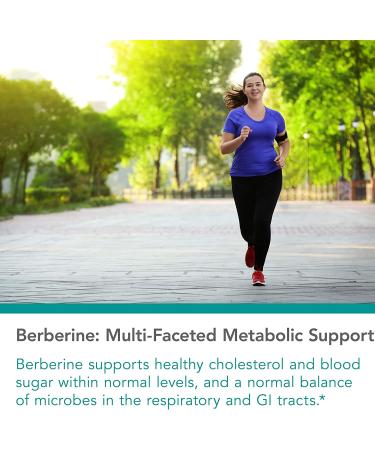 Nutricology Berberine 500mg - 90 Vegetarian Capsules for Optimal Health - Buy Online on GoSupps.com