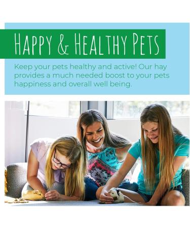 Small Pet Select 2nd Cutting Timothy Hay - Perfect Blend for Small Pets - Buy Online on GoSupps.com