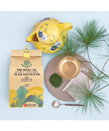 Organic Canadian Eastern White Pine Needle Tea (8g x 30 TEA BAGS) Fresh Pine Needle Tea and a Product of Canada