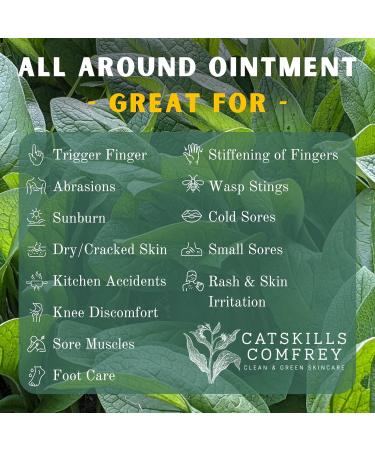 Catskills Comfrey Original 4oz Comfrey Salve for Bone Healing Organic Comfrey Oil Cream Only 4 Natural Ingredients Home-Grown & Home-Made Multi-use Natural Skincare No Essential Oils 4 Ounce - Buy Online on GoSupps.com