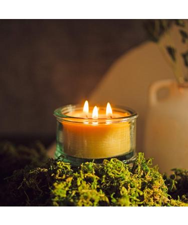 Buy Bluecorn Botanica Beeswax Candle - 3-Wick Pure Beeswax & Vanilla Scented Candle | International Shipping Available - Buy Online on GoSupps.com