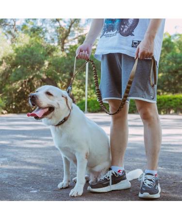 Excellent Elite Spanker Tactical Bungee Dog Leash - Elastic Walk & Training Leash in Olive Green - Perfect for All Breeds - Buy Online on GoSupps.com