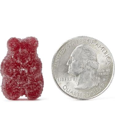 Digestive Advantage Daily Probiotic Gummy for Kids Multi Natural Fruit Flavours 80.0 Count natural fruit flavours 80 Count (Pack of 1) - Buy Online on GoSupps.com