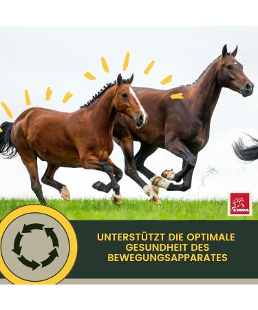 MSM Horse & Willow Bark Horse I MSM Liquid Horse I Equi P Pate Tendons Ligaments I Collagen Horse I MSM Horse Food Glucosamine Chondroitin - Flexible Joints + Vitamin 1 L 30 ml - Buy Online on GoSupps.com