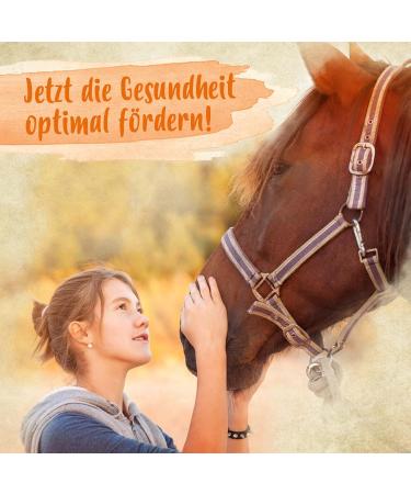 Ida Plus Mineral Forte - Essential Minerals & Vitamins for Immune System Skin Fur Bones & Claws for Horses Dogs & Cats - 2kg - International Shipping Available - Buy Online on GoSupps.com