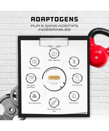 Adaptogen Complex - Stress & Relax Support with Shoden Ashwagandha Reishi Ginseng Passionflower Rose Root Extract - Magnesium - Vegan - 120 Capsules - Buy Online on GoSupps.com