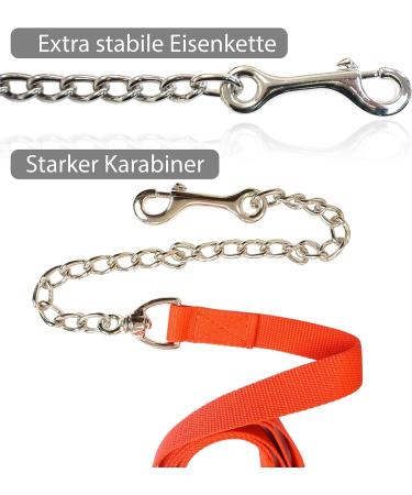 Buy Safe Horse Guide with Iron Chain & Nylon Handle - Perfect for Stallions Dogs Ponies & Donkeys - 2.10m Length (2x Red) - Buy Online on GoSupps.com