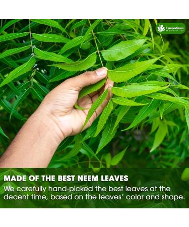 Lavendium Premium 56g (2oz) Neem Leaves 100% Natural & Pure from Dried Neem Leaves Wild harvested Cut & Sifted Neem Leaf Herbal Tea Neem Loose Leaves No Additives No Caffeine Vegan - Buy Online on GoSupps.com