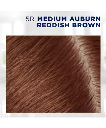 Clairol Root Touch-Up Permanent Hair Dye 5R Medium Auburn - 30.00 ml (Pack of 1) - Buy Online on GoSupps.com