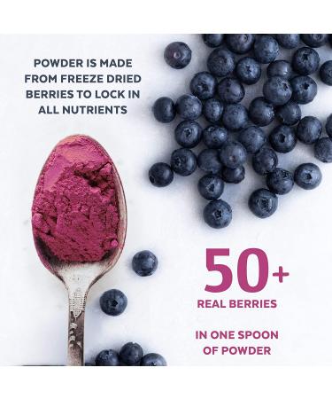 Numami Organic Wild Blueberry Powder | Antioxidant-Rich | Vitamin C | Nordic Forest Harvested | Ideal for Smoothies & Baking - Buy Online on GoSupps.com