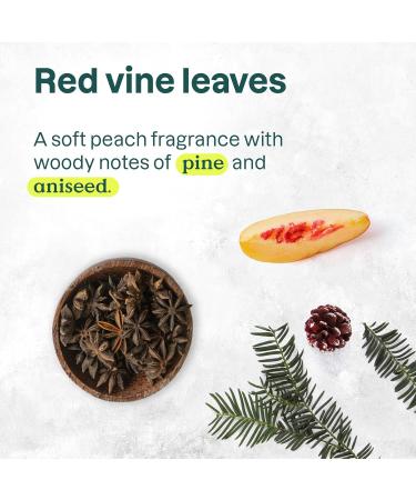 ATTITUDE Body Wash EWG Verified Shower Gel Dermatologically Tested Plant and Mineral-Based Vegan Personal Care Products Red Vine Leaves 16 Fl Oz Red Vine Leaves 16 Fl Oz (Pack of 1) - Buy Online on GoSupps.com